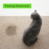 2 Pack Cat Repellent & Training Spray