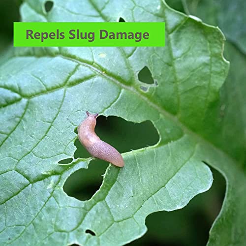 2 Pack Natural Slug & Snail Repellent