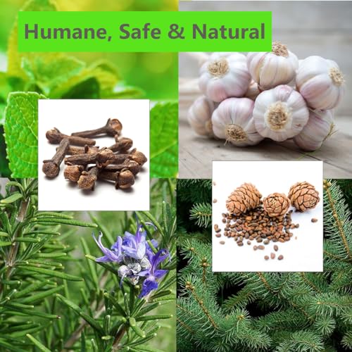 2 Pack Natural Slug & Snail Repellent