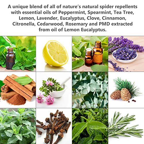 2 Pack Natural Spider Repellent Spray