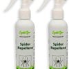 2 Pack Natural Spider Repellent Spray
