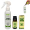 Natural Spider Repellent Spray - 50+ Bottles