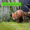 Concentrated Fox Repellent Spray - 4 Litres