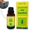 Keep Ants Away. Ant Repellent Spray. Makes 10 litres. No Chemicals or Poisons. 100% Natural, Safe, Humane & Ultra Effective. Peppermint & Clove Oil Blend. Safe for Children &...
