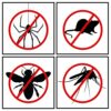 Natural Pest Repellent - Safe for Kids & Pets