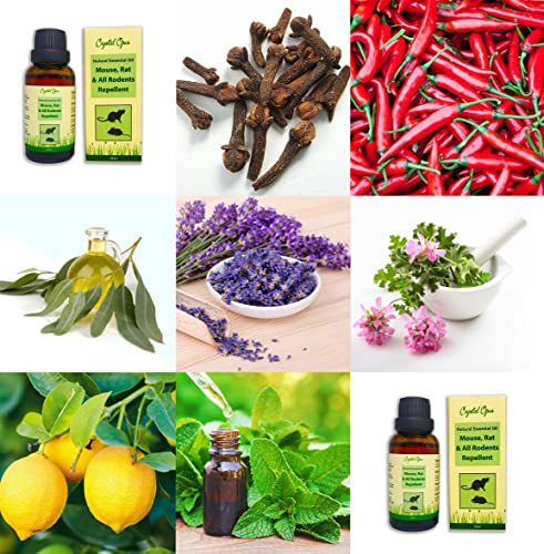 Peppermint Rodent Repellent Spray - 10+ Litres