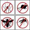 Spider, Rodent & Insect Repellent Spray