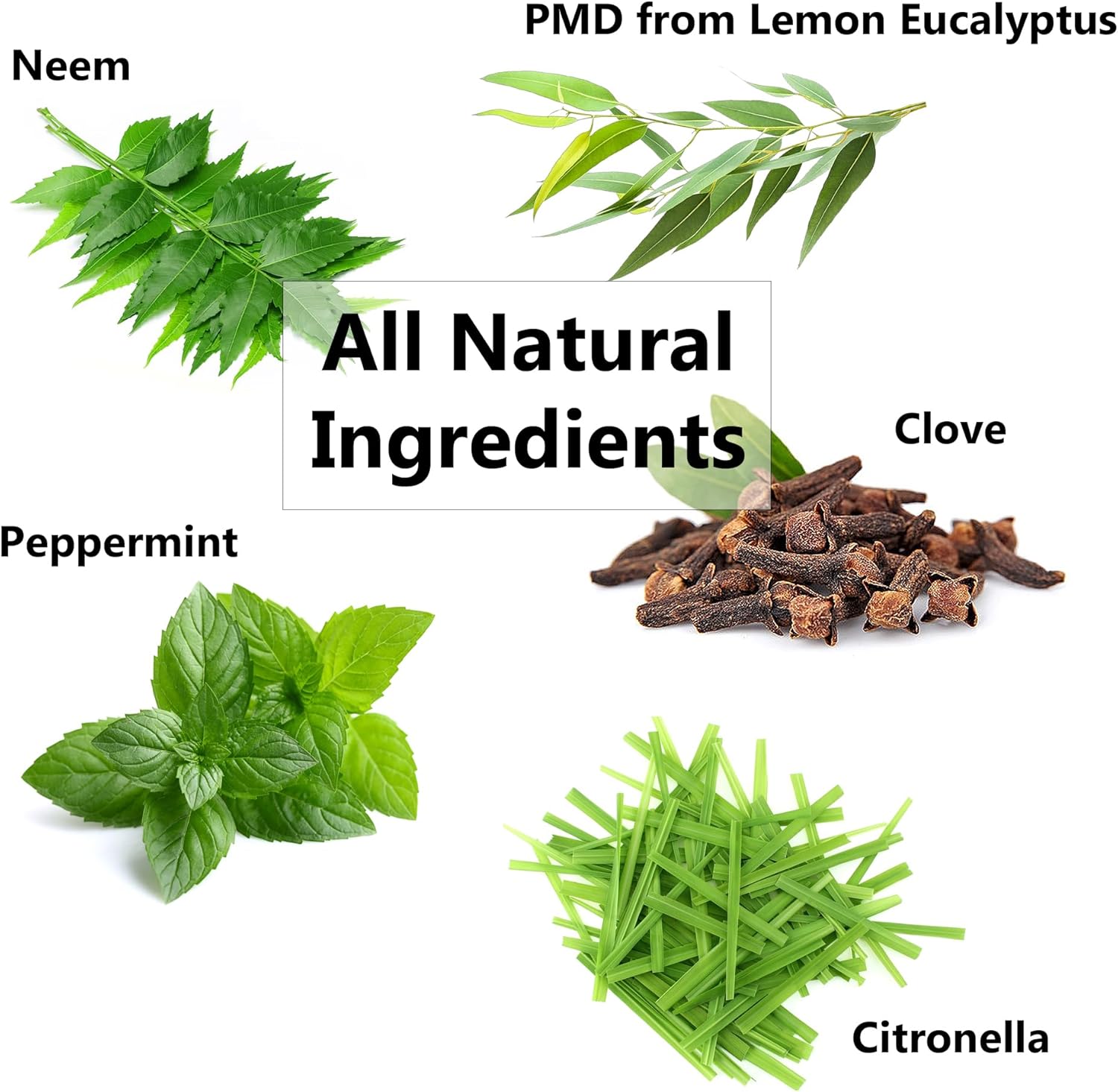 Fly Repellent Spray Essential Oil Concentrate (Makes 10 litres) - Image 3